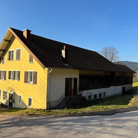 Chalet Cosy Lisiere De Foret Xonrupt-Longemer Buitenkant foto
