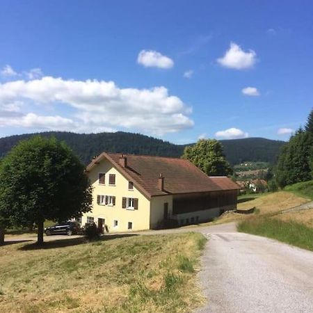 Chalet Cosy Lisiere De Foret Xonrupt-Longemer Buitenkant foto