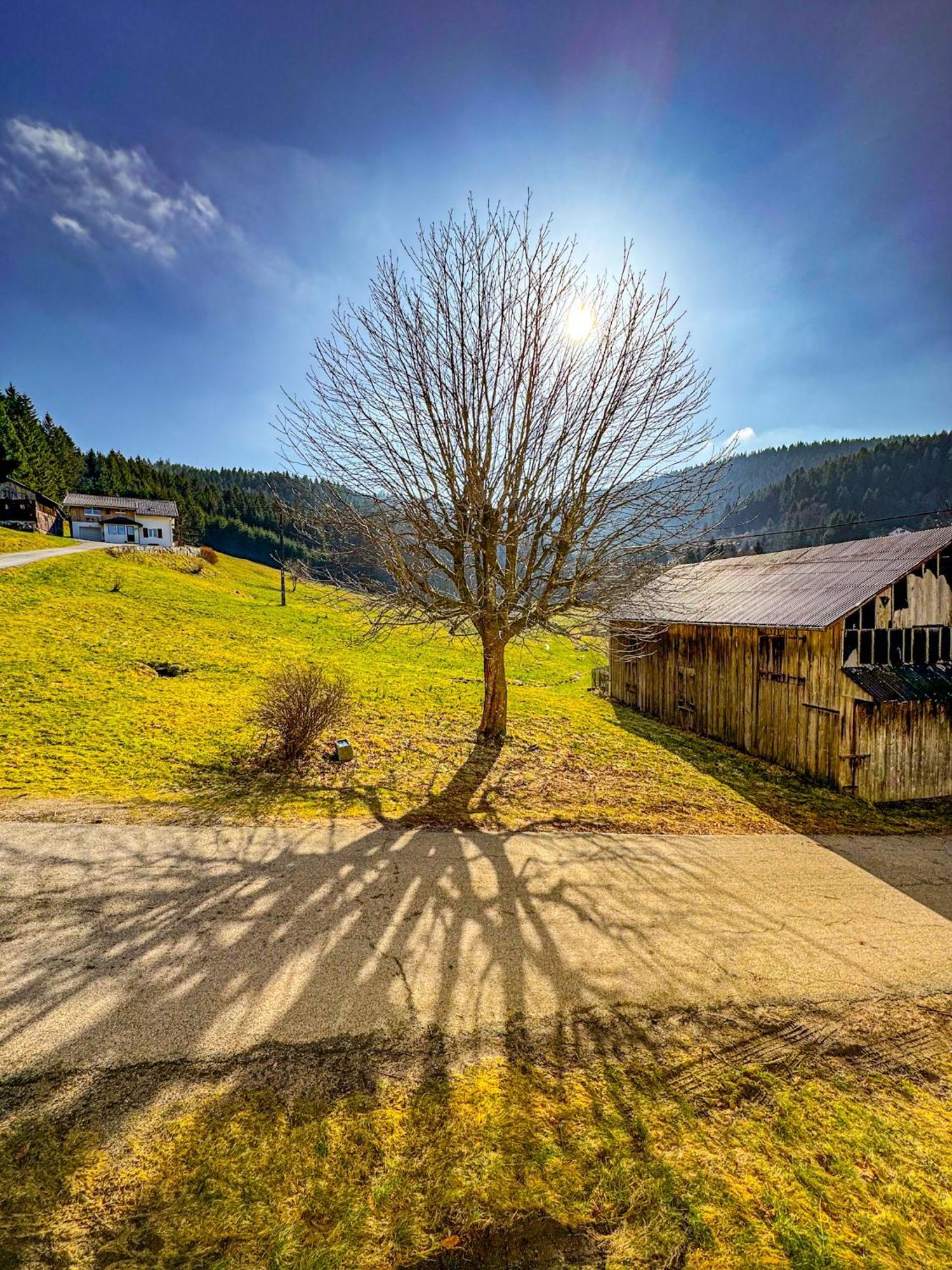 Chalet Cosy Lisiere De Foret Xonrupt-Longemer Buitenkant foto