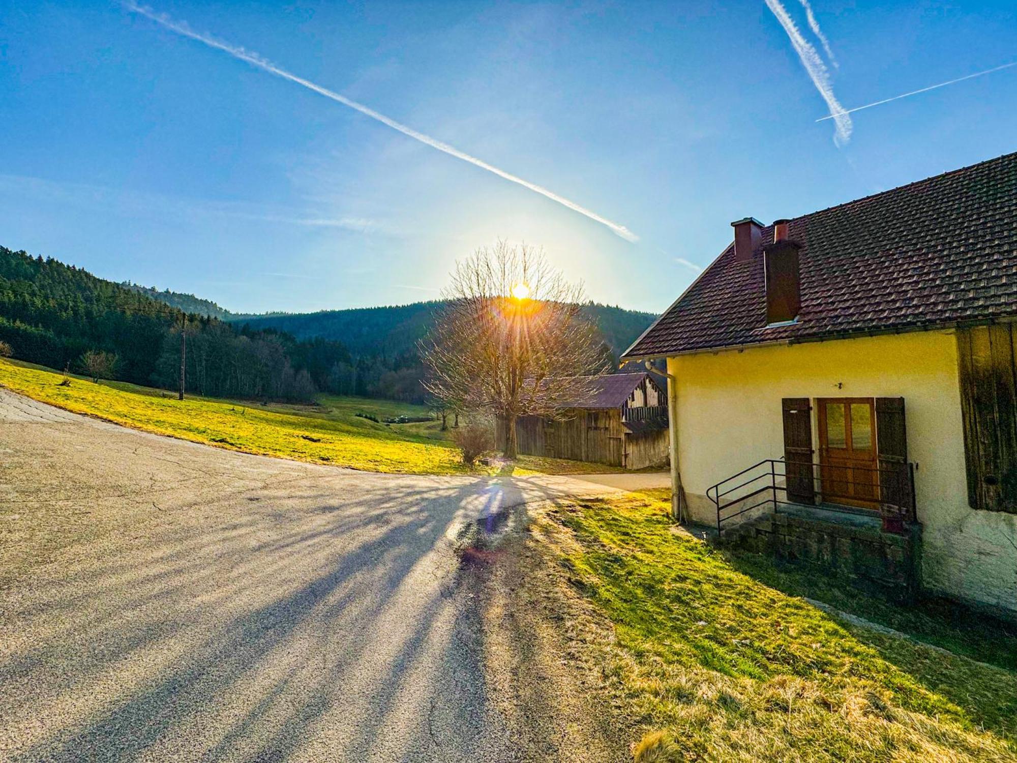 Chalet Cosy Lisiere De Foret Xonrupt-Longemer Buitenkant foto