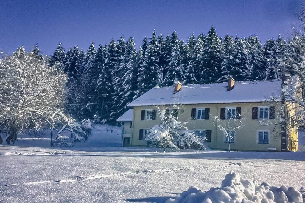 Chalet Cosy Lisiere De Foret Xonrupt-Longemer Buitenkant foto
