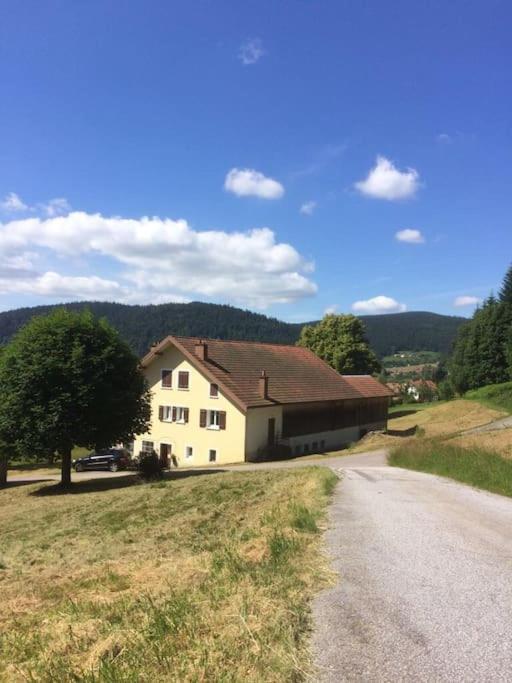 Chalet Cosy Lisiere De Foret Xonrupt-Longemer Buitenkant foto