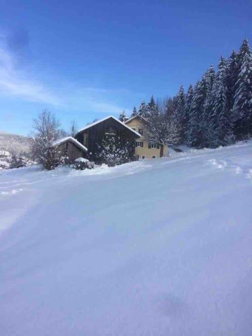 Chalet Cosy Lisiere De Foret Xonrupt-Longemer Buitenkant foto
